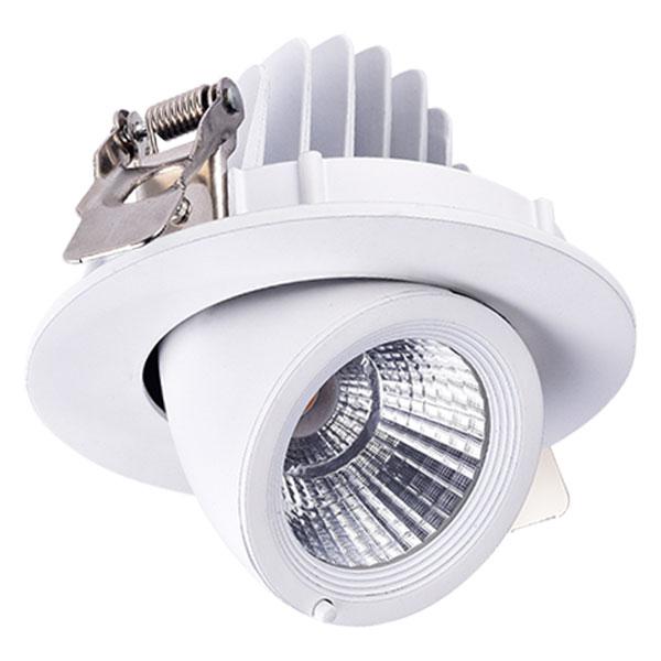 Downlight LED Spot de Direccional 30w